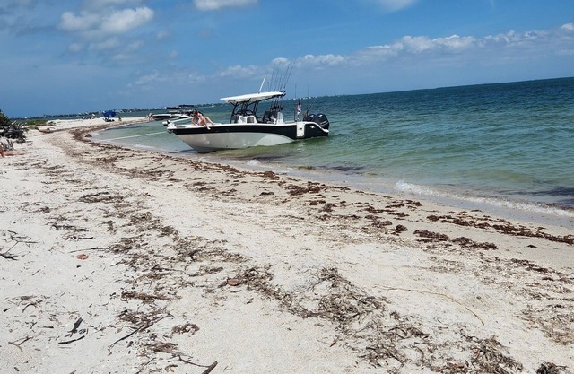 Casita Bella Beautiful Cottage IN Wonderful Cape Coral FL. Come Enjoy!
