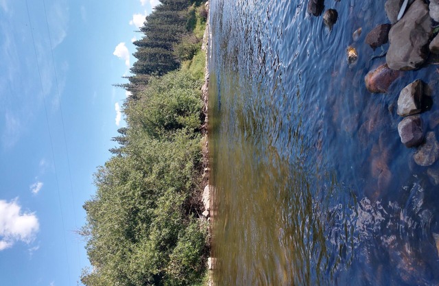 Casita Plaza Vieja in the HEART Of OLD TOWN ALBUQUERQUE