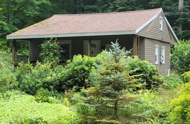 Cassadaga cottage in the woods