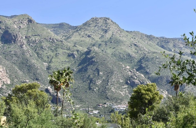 Catalina Foothills Oasis