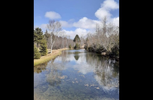 Cavendish Country Escape - Cottage on Beautiful P.E.I.