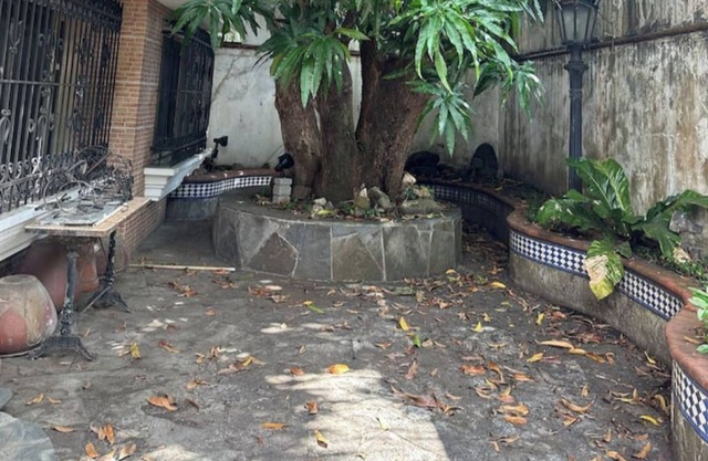 Caverina @ Obarrio A1A