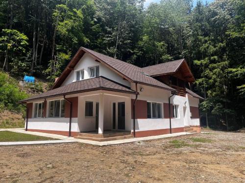 Cazare Cascada Lotrisor