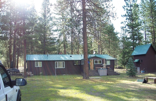 Cedar Cabin nestled in the pines