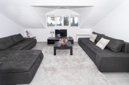 Central comfy apartment