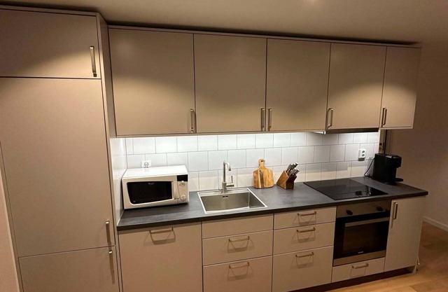 Central Nordic Apartment C