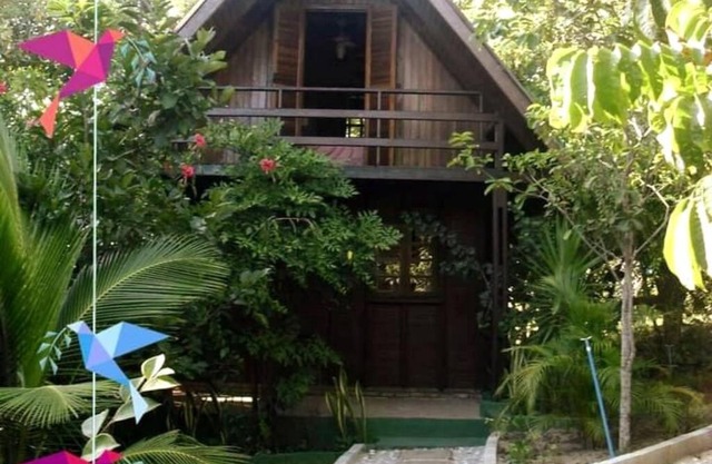 Chalé de Madeira nr01 - Exuberante Flora e Fauna - IMBASSAI