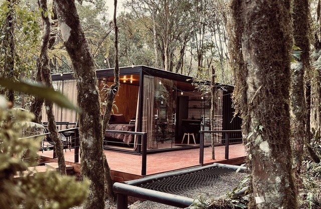 Chalé Wood, Rodeado de Árvores