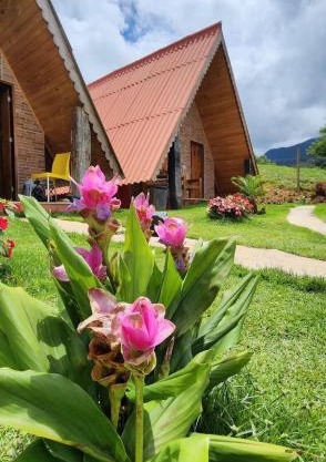 Chalés Flor do Caparaó em Patrimonio da Penha