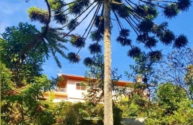 Chalé Beijo do Sol - Campos do Jordão