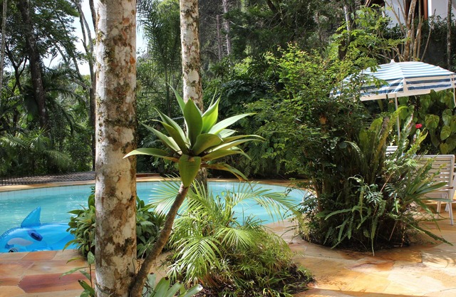 Chale season rental with forest around