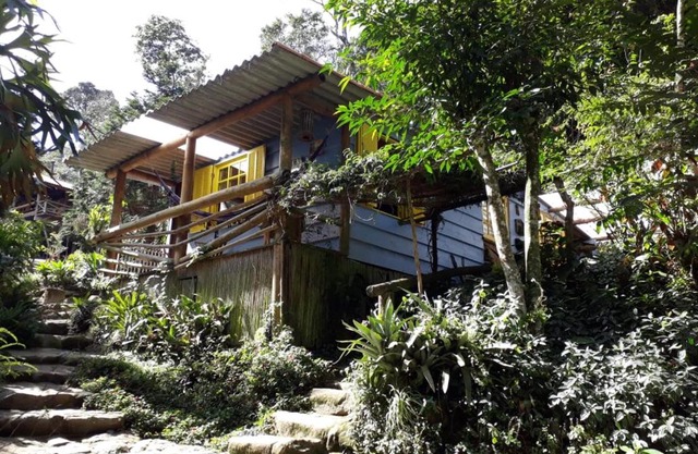 Chales Bamboo Jungle