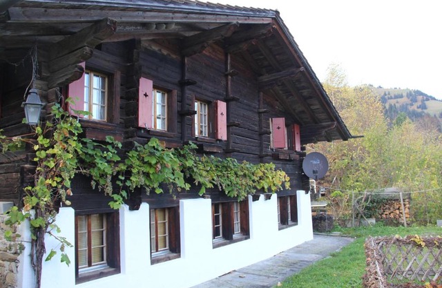 Chalet Bergwelt - Panoramic view