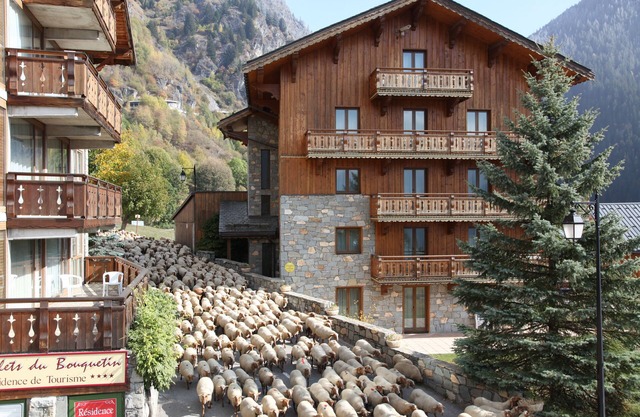 Chalet Bouquetin- Renard