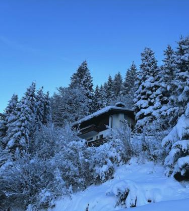 Chalet Dagmar