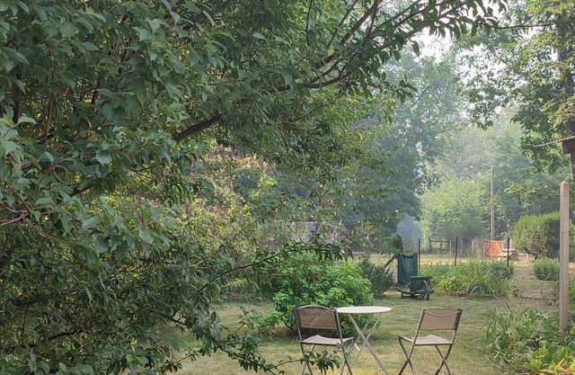 Chalet dans la Forest. Adorable chalet, walking distance to the Charente Lac.