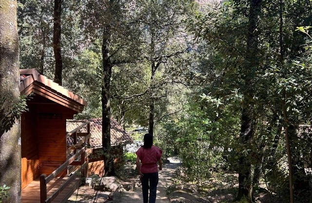 Chalet de Location au Cœur de la Forêt. Randonnées Entre Rivière et Montagne
