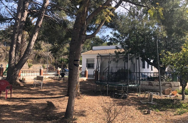 Chalet Entre Pinos
