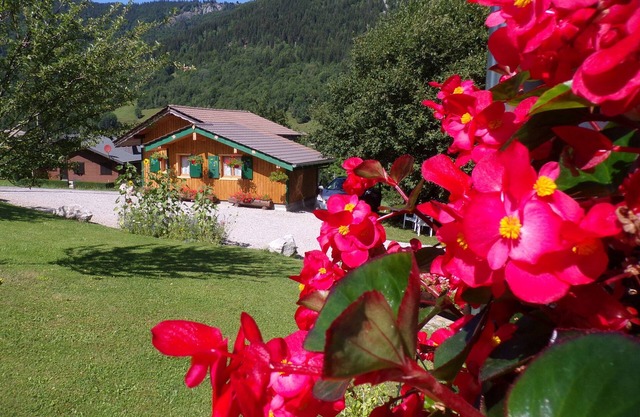 Chalet 'Le Glacier 2 Étoiles' with Mountain View, Private Garden and Wi-Fi