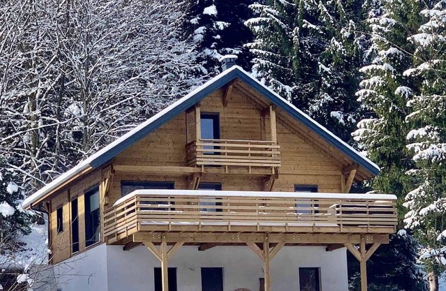 Chalet Les 2 Marmottes 4 * high standing with terrace