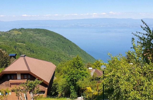 Chalet overlooking Lake Geneva