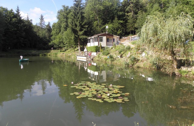 Chalet overlooking a pond in a green setting.