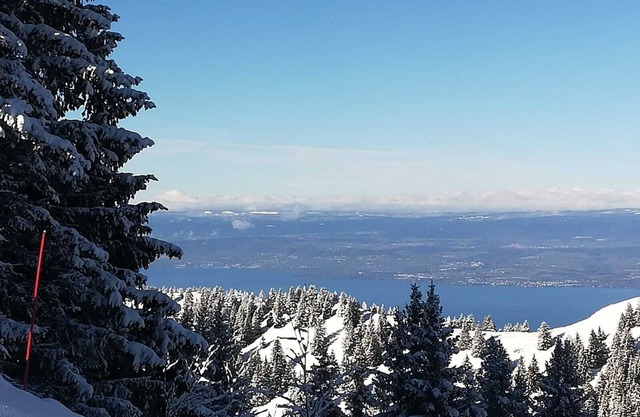 CHALET to THOLLON MEMISES THE SKI MOUNTAIN (in the village) LAKE GOLF (Evian baths)