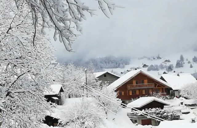Chalet wood comfortable, independent, quiet, with beautiful views of Mont Blanc