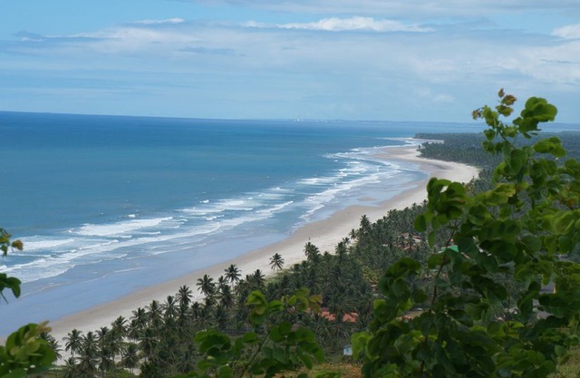 chalets overlooking the sea situated 300 meters from a charming village.