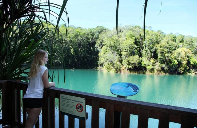 Chambers Wildlife Rainforest Lodges