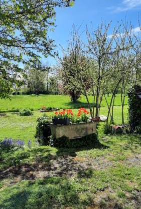 Chambre à la campagne