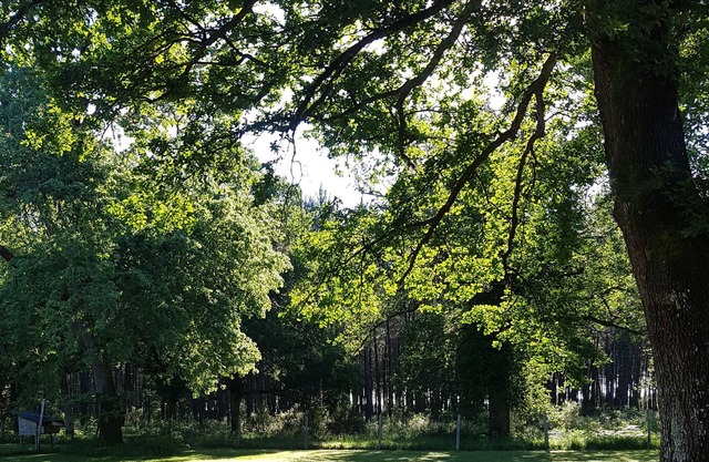 Chambres d'hôtes chez Jalaine