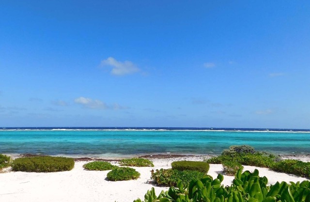 Champagne Sunrise - Beachfront, Sunsets,Snorkel,Swim,Pool, walk to RumPoint