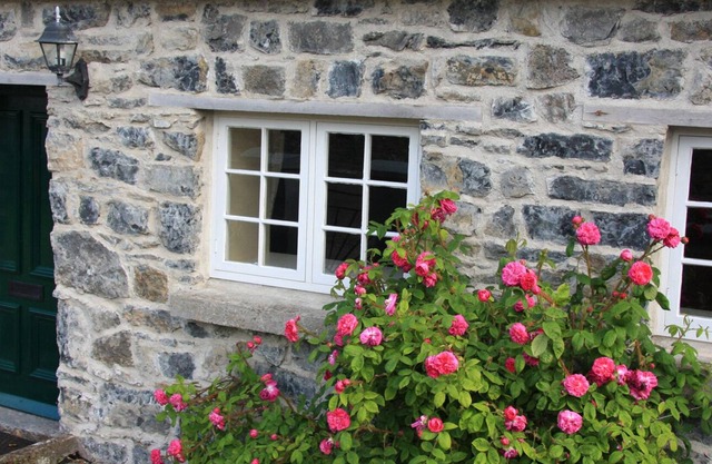 CHARLIE'S COTTAGE, pet friendly in Lorrha, County Tipperary