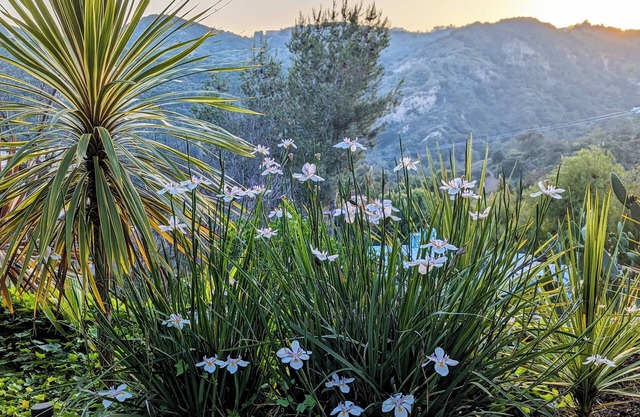 Charming 2 BR/2BTH Topanga Canyon cottage