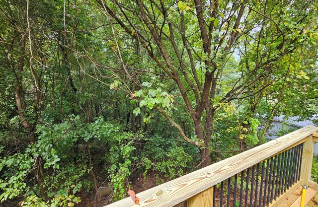 Charming 2-BR Cottage 12 minutes from Biltmore House/Asheville or Black Mtn.n