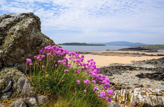 Charming 200 year old Galloway cottage near Kirkcudbright