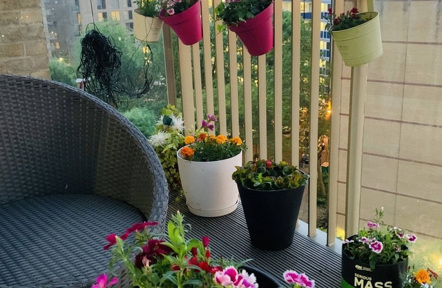 Charming 3-Bed Apartment in London