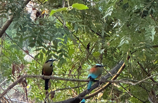 Charming 3-bedroom bed & breakfast with fitness room and WiFi in Atenas