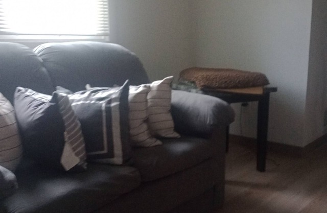 Charming 3-bedroom condo in pleasant Rochester with AC, WiFi. And very clear