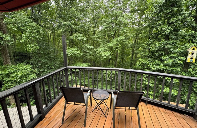 Charming 3-bedroom house with AC and WiFi in fabulous Swannanoa
