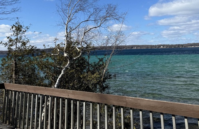Charming 3-bedroom house on fabulous Torch Lake with 102' frontage