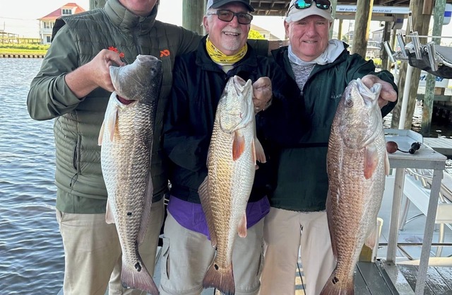 Charming 3-bedroom house with WiFi, dock on the water, in serene Myrtle Grove.