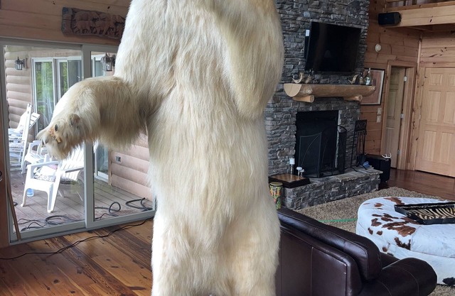 Charming 4-bedroom chateau with WiFi, fitness room in lovely Dillard.