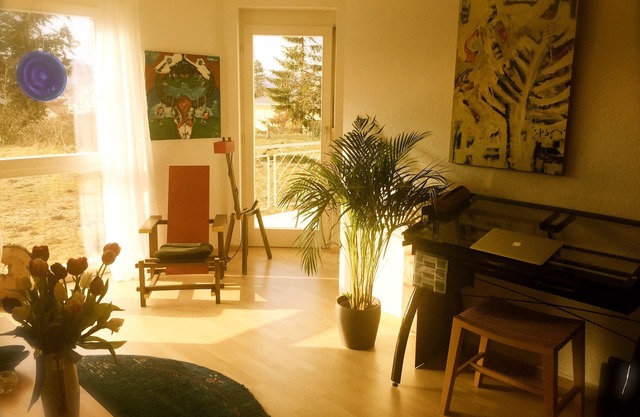 Charming 4 star apartment for creative people - border crossing CH - Therme Zurzach