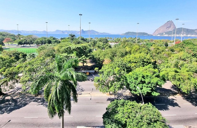 Charming Apartment in Praia do Flamengo