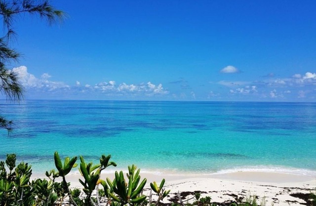 Charming Cottage Walk to Beach and Pool. Resort Privileges