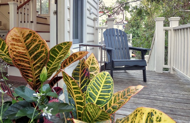 Charming cottage apartment