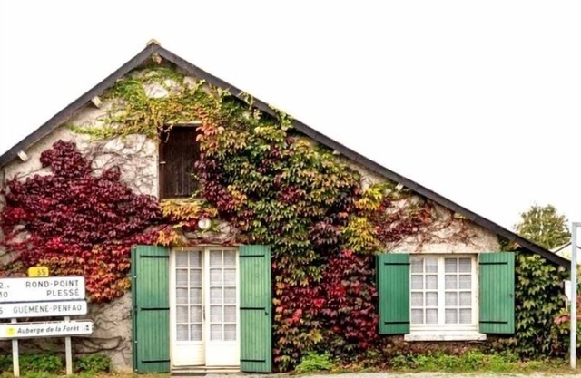 Charming Country Home Near Forest with WiFi, Basketball & Table Tennis