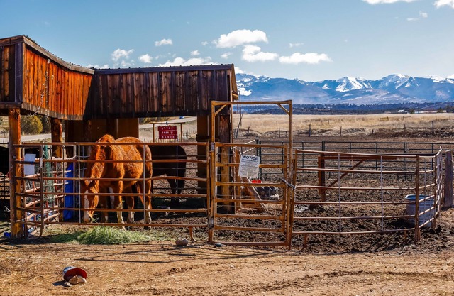 Charming Farm Getaway in Mancos w/Mountain Views!